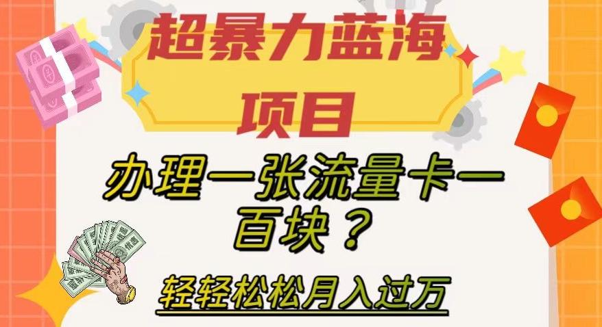 超暴力蓝海项目，办理一张流量卡一百块？轻轻松松月入过万，保姆级教程【揭秘】-归鹤副业商城