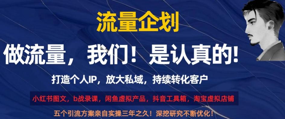 流量企划，打造个人IP，放大私域，持续转化客户【揭秘】-归鹤副业商城