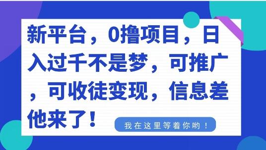 不要再花冤枉钱了，0撸项目，每天坚持，稳定1000+-归鹤副业商城