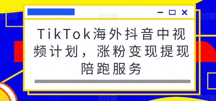 TikTok海外抖音中视频计划，涨粉变现提现陪跑服务-归鹤副业商城