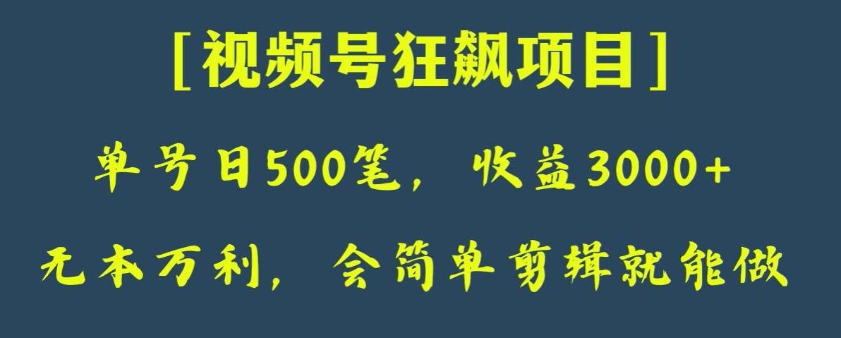 日收款500笔，纯利润3000+，视频号狂飙项目，会简单剪辑就能做【揭秘】-归鹤副业商城