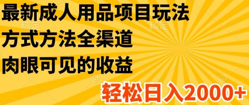 最新成人用品项目玩法，方式方法全渠道，轻松日入2K+【揭秘】-归鹤副业商城