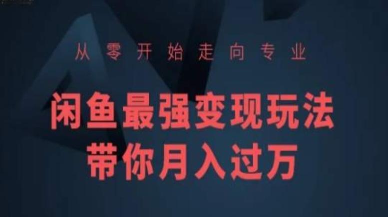 从零开始走向专业，闲鱼最强变现玩法带你月入过万-归鹤副业商城