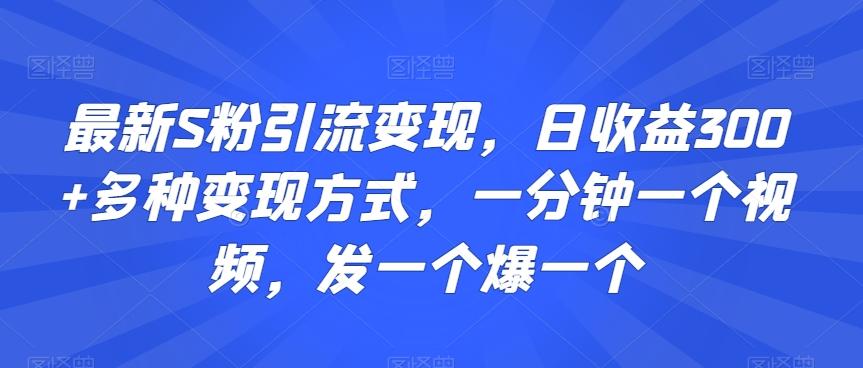 最新S粉引流变现，日收益300+多种变现方式，一分钟一个视频，发一个爆一个【揭秘】-归鹤副业商城