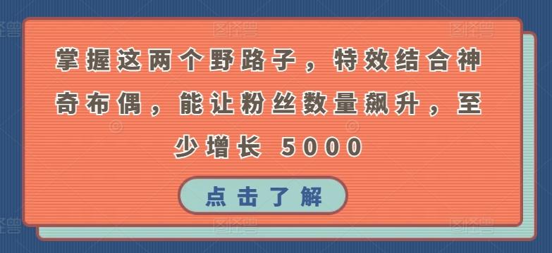 掌握这两个野路子，特效结合神奇布偶，能让粉丝数量飙升，至少增长 5000【揭秘】-归鹤副业商城