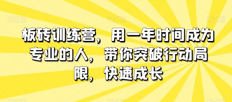 板砖训练营，用一年时间成为专业的人，带你突破行动局限，快速成长-归鹤副业商城