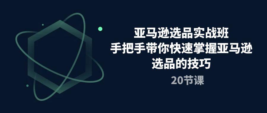 亚马逊选品实战班，手把手带你快速掌握亚马逊选品的技巧(20节课-归鹤副业商城