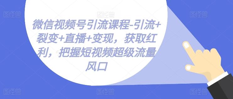 微信视频号引流课程-引流+裂变+直播+变现，获取红利，把握短视频超级流量风口-归鹤副业商城