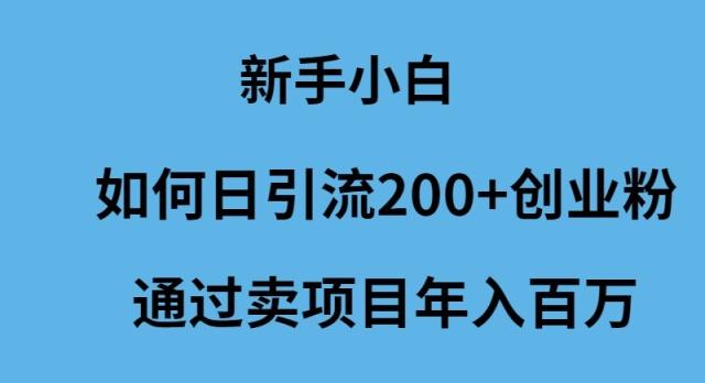 (9668期)新手小白如何日引流200+创业粉通过卖项目年入百万-归鹤副业商城