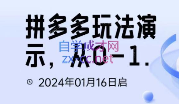 吴老师·拼多多从选品到截流到付费的玩法技巧-归鹤副业商城