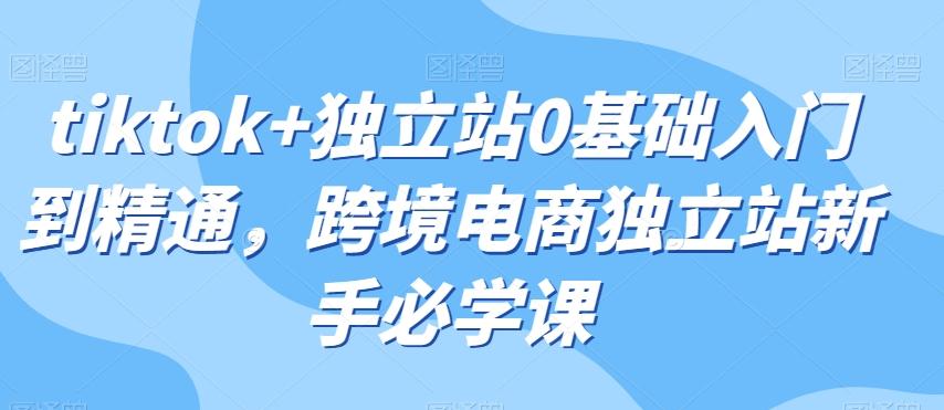 tiktok+独立站0基础入门到精通，跨境电商独立站新手必学课-归鹤副业商城