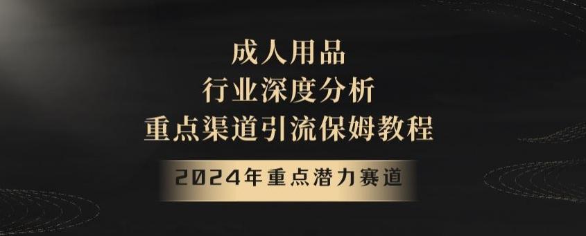 2024年重点潜力赛道，成人用品行业深度分析，重点渠道引流保姆教程【揭秘】-归鹤副业商城