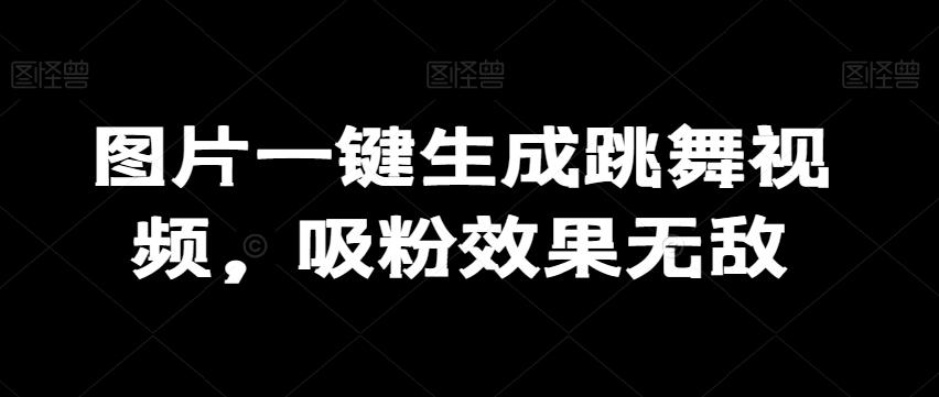 图片一键生成跳舞视频，吸粉效果无敌-归鹤副业商城