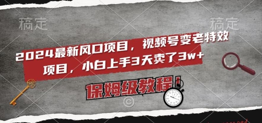 2024最新风口项目，视频号变老特效项目，电脑小白上手3天卖了3w+，保姆级教程【揭秘】-归鹤副业商城