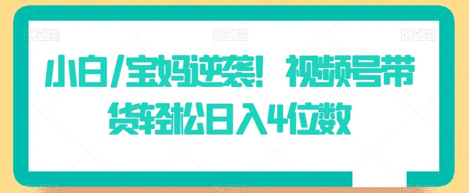 小白/宝妈逆袭！视频号带货轻松日入4位数【揭秘】-归鹤副业商城