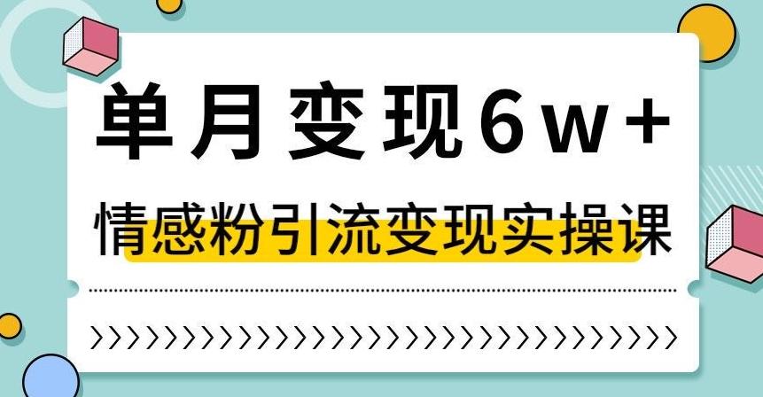 单月变现6W+，抖音情感粉引流变现实操课，小白可做，轻松上手，独家赛道【揭秘】-归鹤副业商城