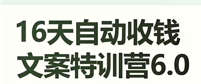 16天自动收钱文案特训营6.0，学会儿每天自动咔咔收钱-归鹤副业商城