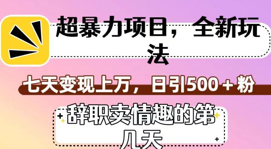 超暴利项目，全新玩法（辞职卖情趣的第几天），七天变现上万，日引500+粉【揭秘】-归鹤副业商城