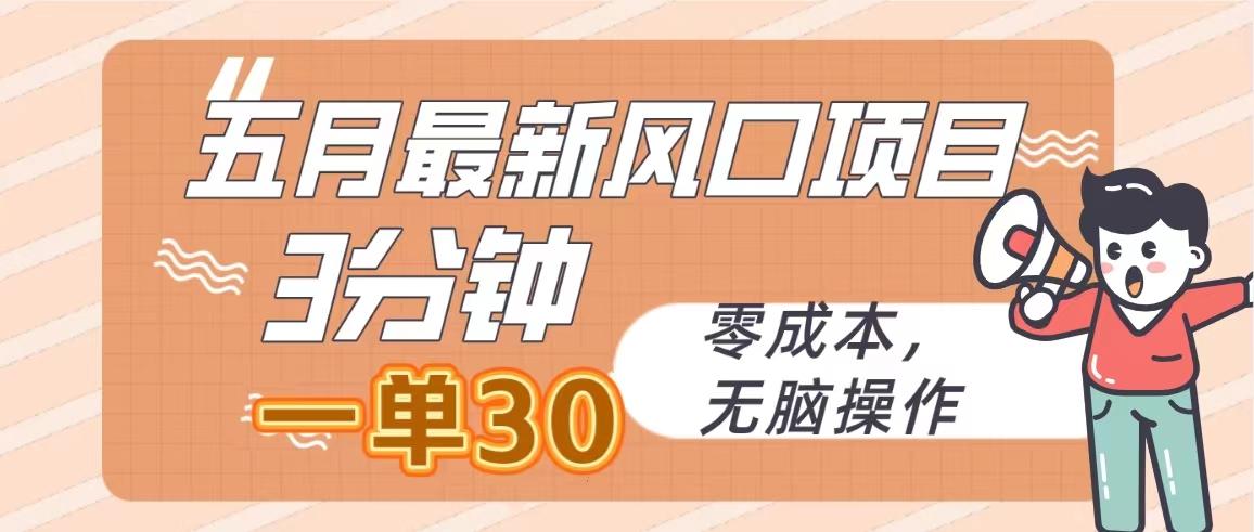 五月最新风口项目，3分钟一单30，零成本，无脑操作-归鹤副业商城