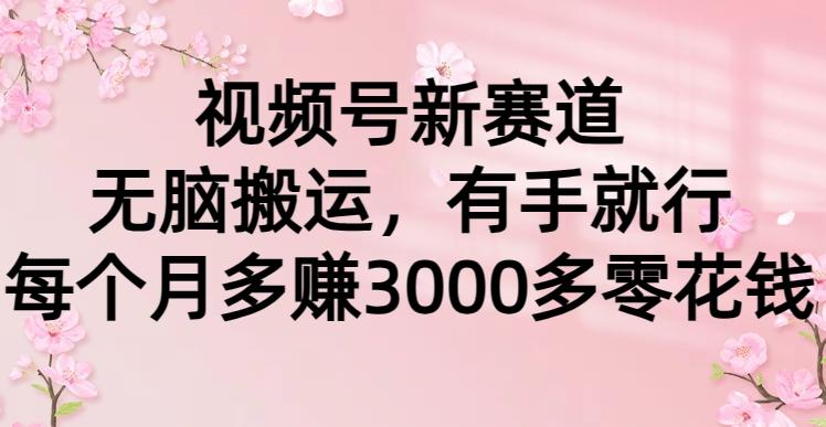 (9278期)视频号新赛道，无脑搬运，有手就行，每个月多赚3000多零花钱-归鹤副业商城