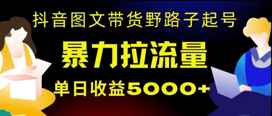 抖音图文带货暴力起号，单日收益5000+，野路子玩法，简单易上手，一部手机即可【揭秘】-归鹤副业商城