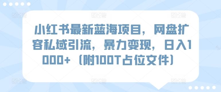 小红书最新蓝海项目，网盘扩容私域引流，暴力变现，日入1000+(附100T占位文件)【揭秘】-归鹤副业商城