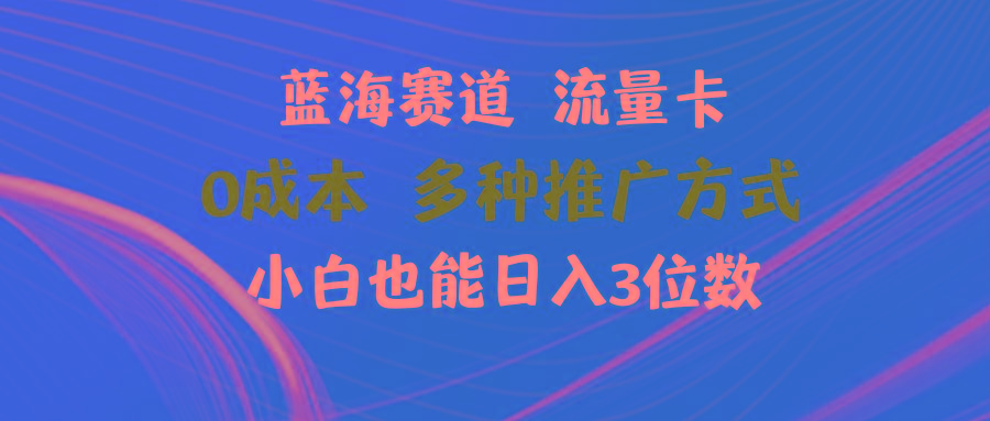 蓝海赛道 流量卡 0成本 小白也能日入三位数-归鹤副业商城