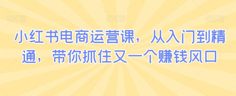 小红书电商运营课，从入门到精通，带你抓住又一个赚钱风口-归鹤副业商城