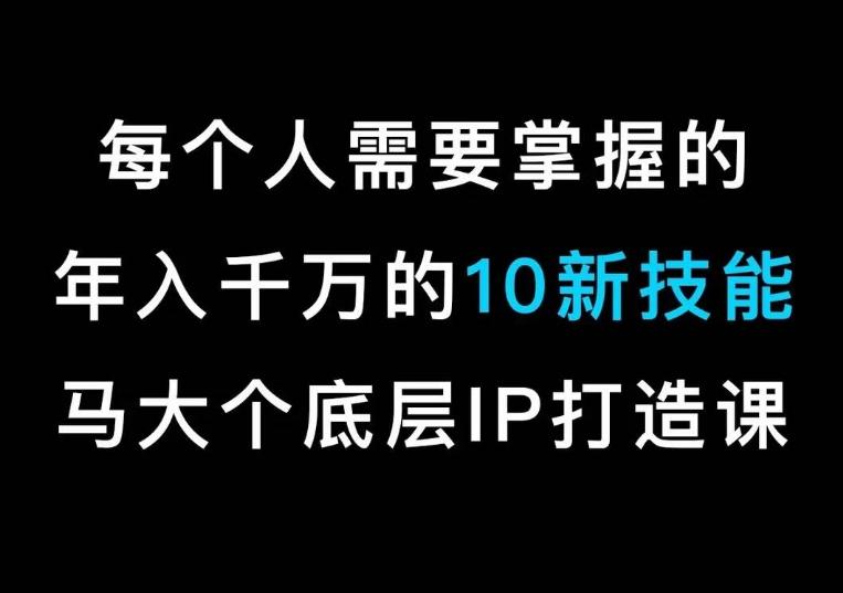 马大个的IP底层逻辑课，​每个人需要掌握的年入千万的10新技能，约会底层IP打造方法！-归鹤副业商城