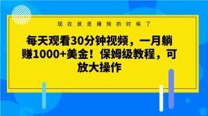 每天观看30分钟视频，一月躺赚1000+美金！保姆级教程，可放大操作【揭秘】-归鹤副业商城