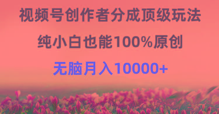 (9608期)视频号创作者分成顶级玩法，纯小白也能100%原创，无脑月入10000+-归鹤副业商城