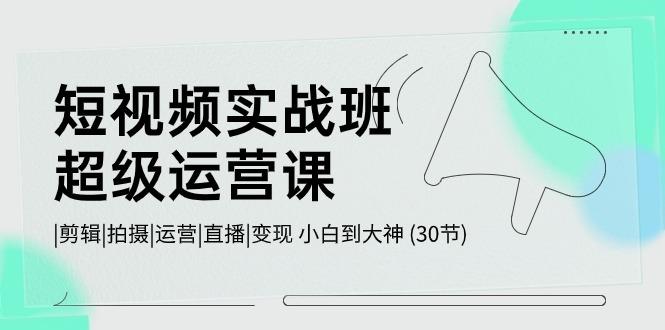 短视频实战班超级运营课 |剪辑|拍摄|运营|直播|变现 小白到大神 (30节)-归鹤副业商城