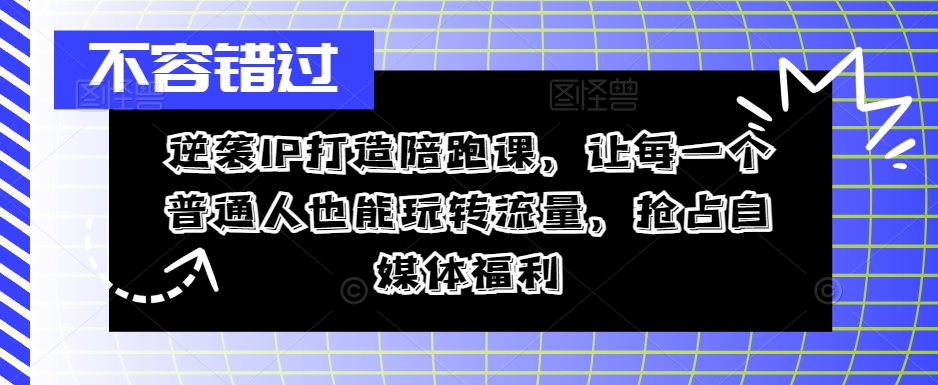 逆袭IP打造陪跑课，让每一个普通人也能玩转流量，抢占自媒体福利-归鹤副业商城