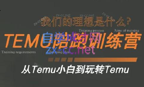 苗苗·拼多多跨境（temu）课程-归鹤副业商城