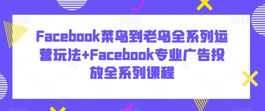 Facebook菜鸟到老鸟全系列运营玩法+Facebook专业广告投放全系列课程-归鹤副业商城