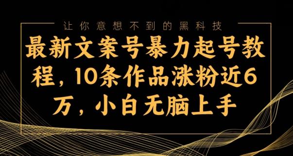 最新文案号暴力起号教程，10条作品涨粉近6万，小白无脑上手-归鹤副业商城