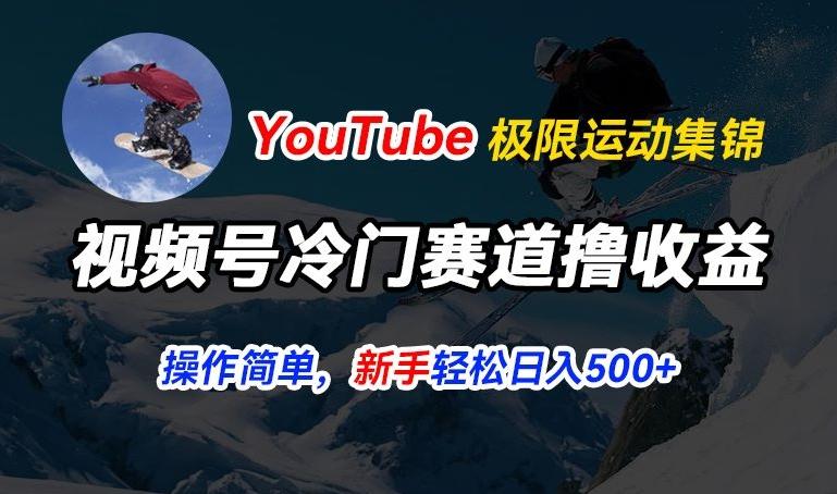 视频号冷门赛道撸收益，YouTube搬运极限运动集锦，暴力起号，操作简单流量高，轻松日入5张【揭秘】-归鹤副业商城