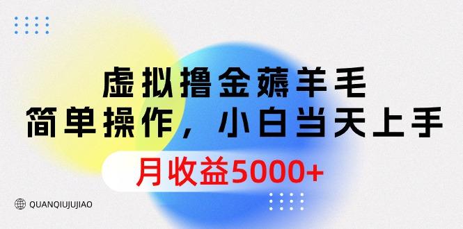 (9864期)虚拟撸金薅羊毛，简单操作，小白当天上手，月收益5000+-归鹤副业商城