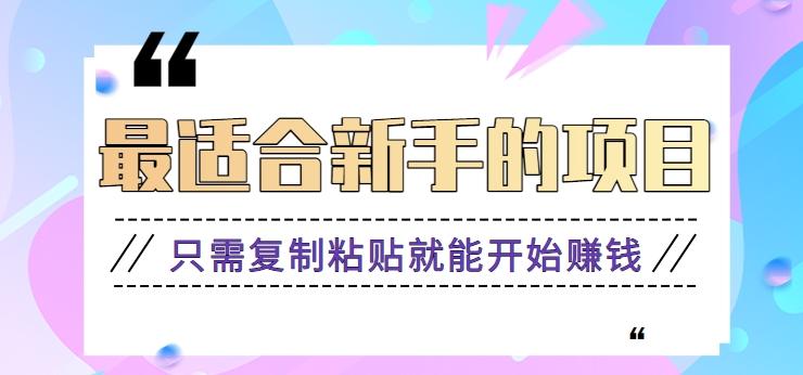 2024最适合新手操作的项目，新手小白只需复制粘贴就能开始赚钱【视频教程+软件】-归鹤副业商城