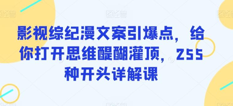 影视综纪漫文案引爆点，给你打开思维醍醐灌顶，255种开头详解课-归鹤副业商城