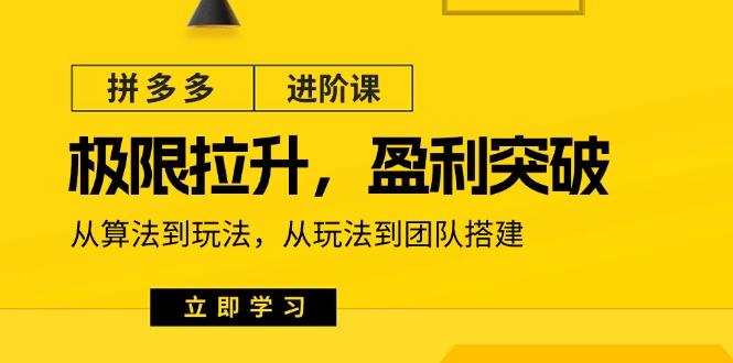 拼多多·进阶课：极限拉升/盈利突破：从算法到玩法 从玩法到团队搭建-18节-归鹤副业商城