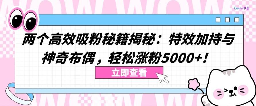 两个高效吸粉秘籍揭秘：特效加持与神奇布偶，轻松涨粉5000+【揭秘】-归鹤副业商城