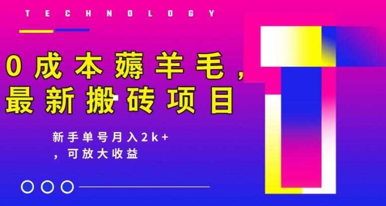 0成本薅羊毛，最新搬砖项目，新手单号月入2k+，可放大操作-归鹤副业商城