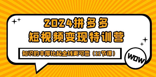 (9817期)2024拼多多短视频变现特训营，知识的丰厚比起金钱更可靠(11节课)-归鹤副业商城