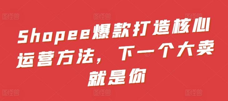 Shopee爆款打造核心运营方法，下一个大卖就是你-归鹤副业商城