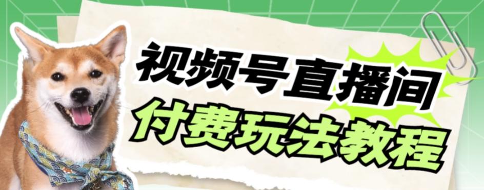 视频号美女付费无人直播，轻松日入500+【详细玩法教程】-归鹤副业商城