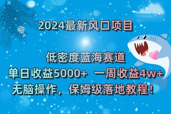 (8545期)2024最新风口项目 低密度蓝海赛道，日收益5000+周收益4w+ 无脑操作，保…-归鹤副业商城