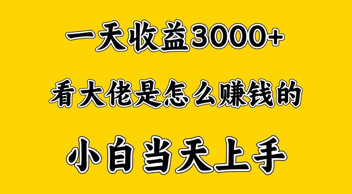 一天赚3000多，大佬是这样赚到钱的，小白当天上手，穷人翻身项目-归鹤副业商城