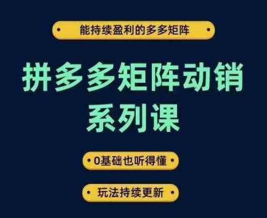 拼多多矩阵动销系列课，能持续盈利的多多矩阵，0基础也听得懂，玩法持续更新-归鹤副业商城