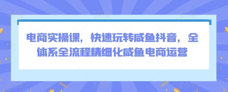 电商实操课，快速玩转咸鱼抖音，全体系全流程精细化咸鱼电商运营-归鹤副业商城